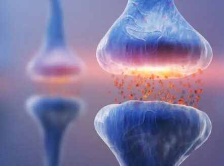 گاما آمینوبوتیریک اسید (GABA) اسید آمینه‌ای طبیعی است که در سیستم عصبی مرکزی انسان وظایف مختلفی از جمله کاهش استرس بهبود خواب بهبود خواب