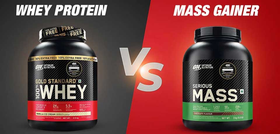 پروتئین وی بهتره یا گینر؟ تفاوت‌ها، مزایا، طرز مصرف و انتخاب مناسب شما