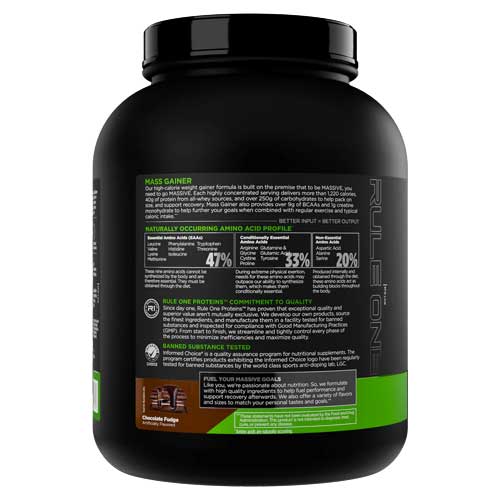 rule one mass gainer original