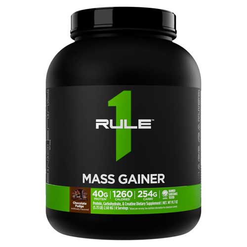 rule one mass gainer original